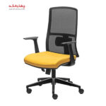 صندلی کارشناسی